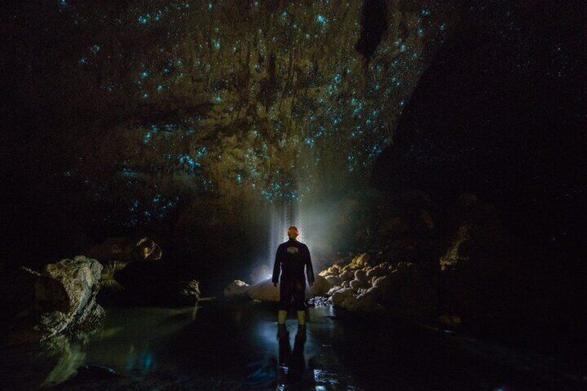 Waitomo Glowworm Caves