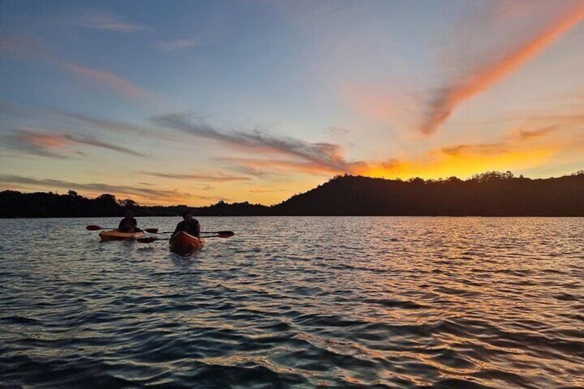 Bioluminescence Kayak Tour