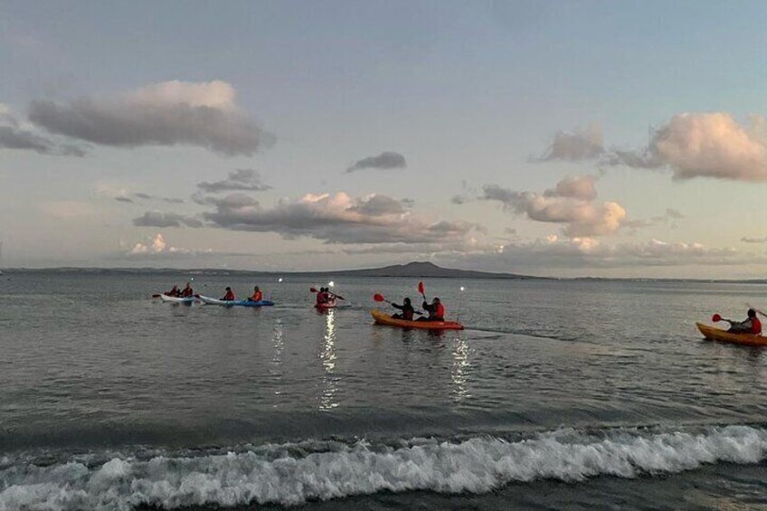 Bioluminescence Kayak Tour - Est. 1994