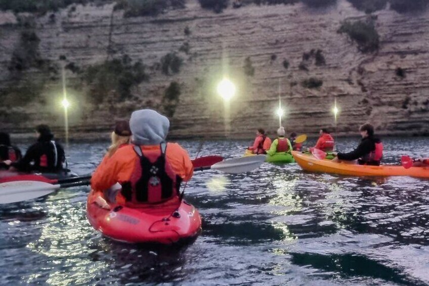 Bioluminescence Kayak Tour - Est. 1994