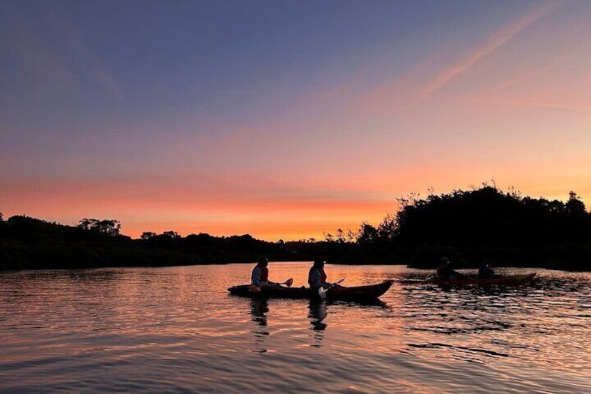 Bioluminescence Kayak Tour - Est. 1994