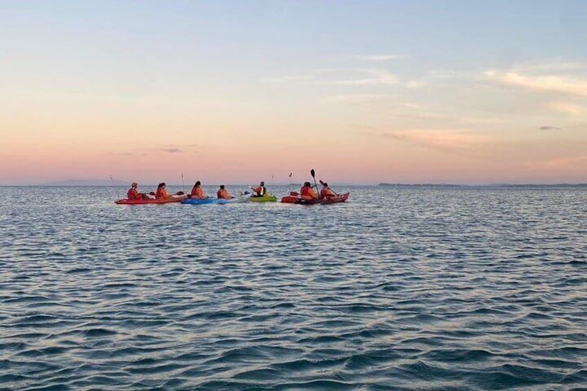 Bioluminescence Kayak Tour - Est. 1994