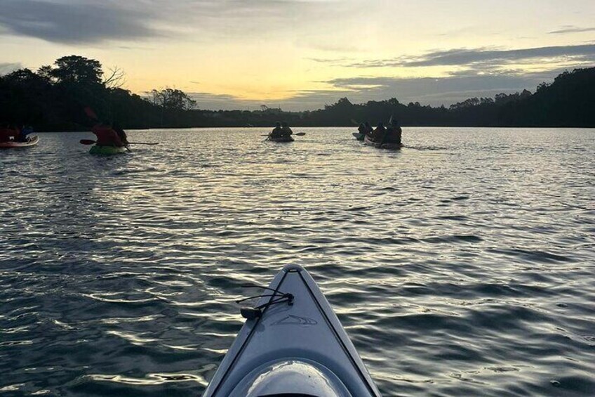 Bioluminescence Kayak Tour - Est. 1994