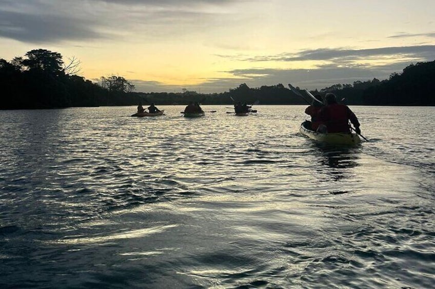 Bioluminescence Kayak Tour - Est. 1994