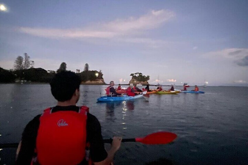 Bioluminescence Kayak Tour - Est. 1994