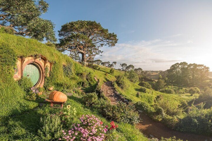 Hobbiton Movie Set Tour & Rotorua Living Māori Village Experience