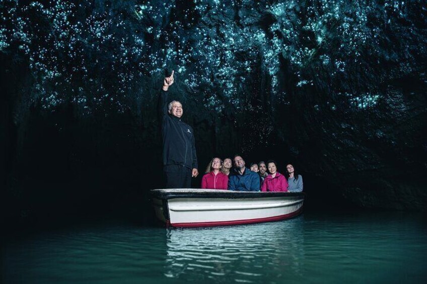 Waitomo Glowworm Cave Grotto & Boat Ride