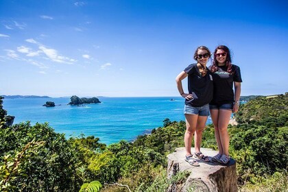 3 Day Bay of Islands Winterless North Tour