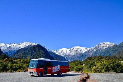 Stray New Zealand: 11-Day Takahe Tour
