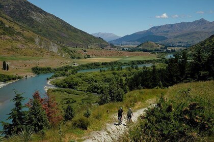 Queenstown Discovery
