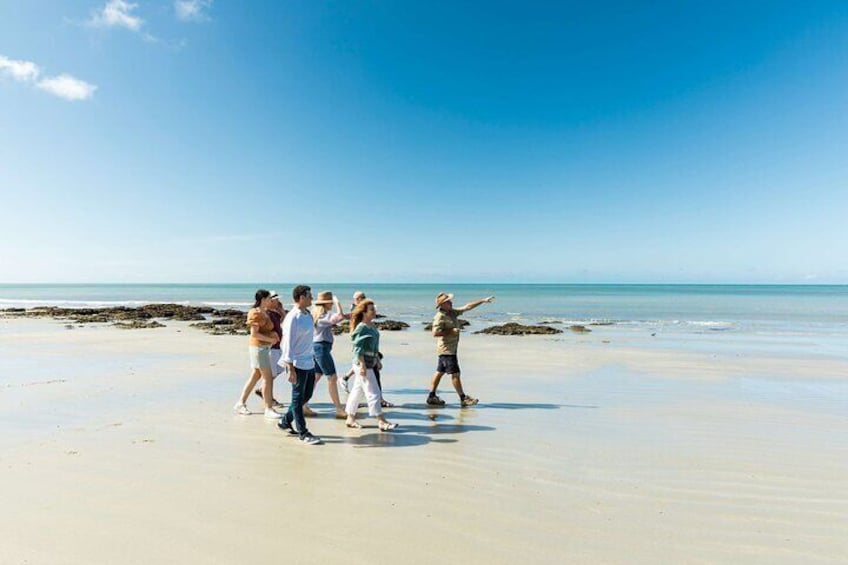 Beach walk at Cape Tribulation