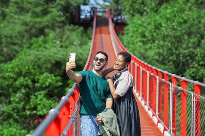 Best DMZ Tour Korea from Seoul (Red Suspension Bridge Optional)