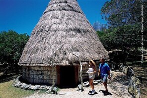 Half-Day Cultural or Botanical New Caledonia Tour from Nouméa