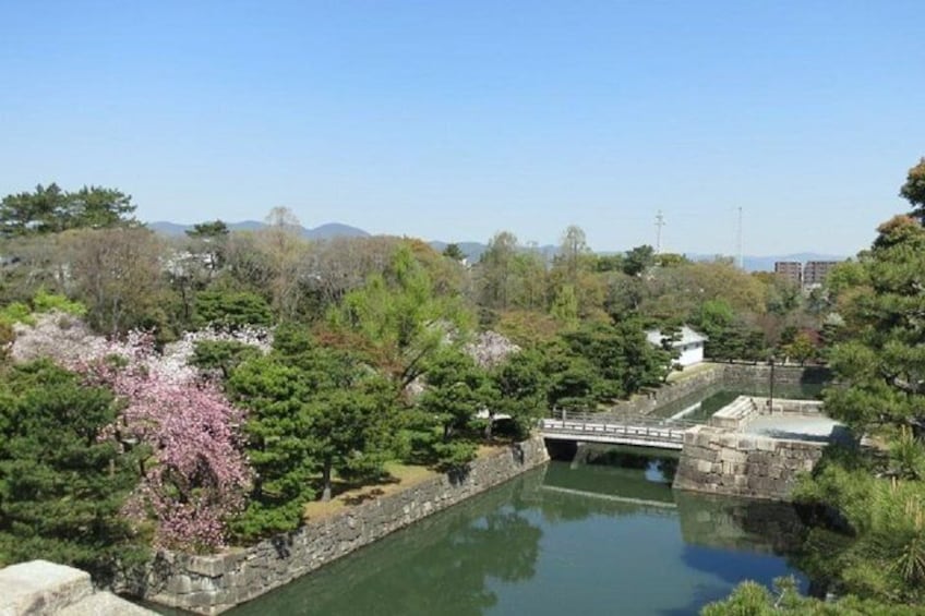 Private Nijo Castle Sightseeing and Nishiki Food Tour