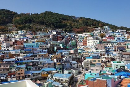 Private tour, 1Day Busan city tour by KTX from Seoul