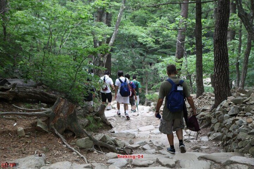 Hiking Trekking & Temple Stay 12days 11nights