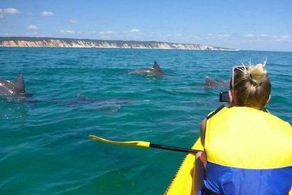 Fantástica excursión de un día con kayak con delfines y recorrido en 4X4 po...