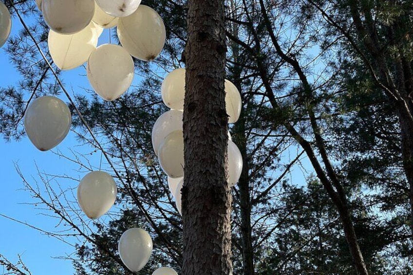 Four Seasons of Nami Island with Garden of Morning Calm Tour