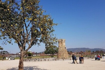 The Ancient City of Brilliant Shilla Kingdom - Gyeongju in one day( or over...