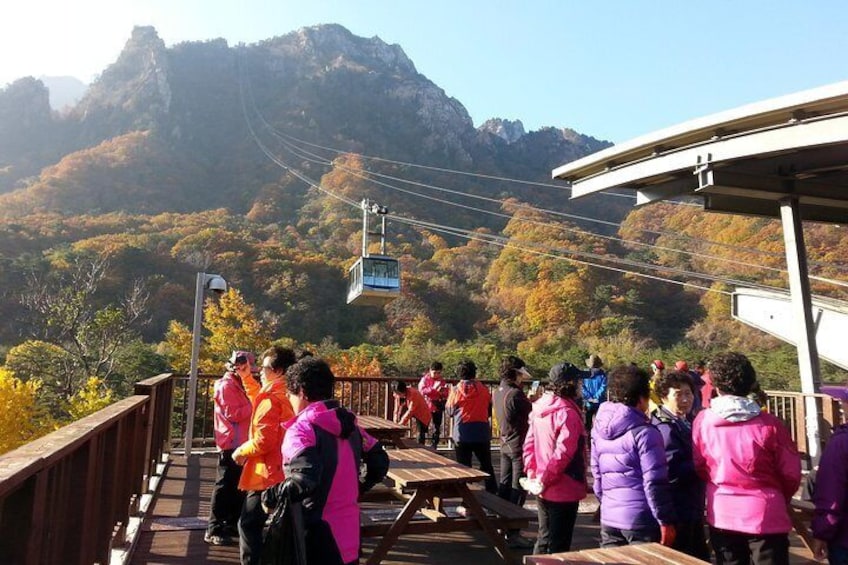 Eastern South Korea 7days 6nights