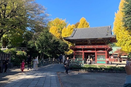 Viva la experiencia del antiguo y el nostálgico Tokio: excursión a pie por ...