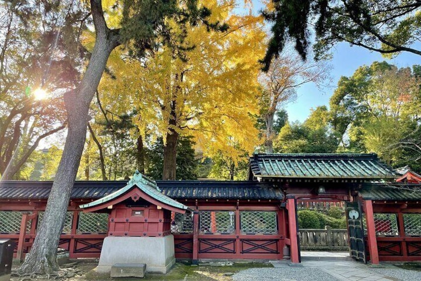 Nezu shrine in December