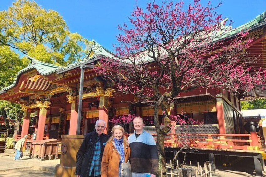 Plum blossoms at Nezu shrine in February