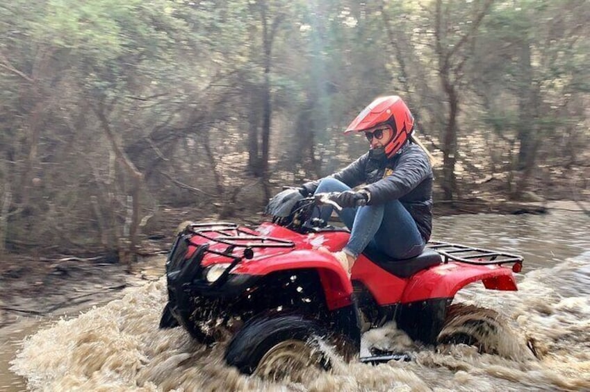 Show item 1 of 13. Half-Day Guided ATV Exploration Tour from Coles Bay