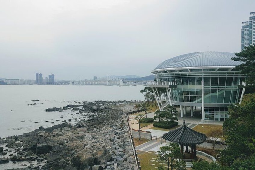Dongbaek Island 