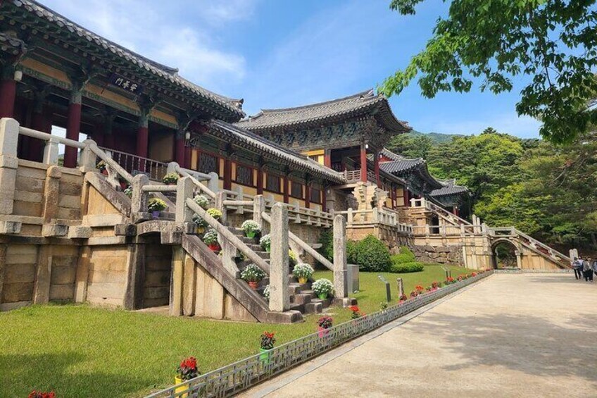 Busan and Gyeongju 2 days Tour from Seoul by KTX Bullet Train