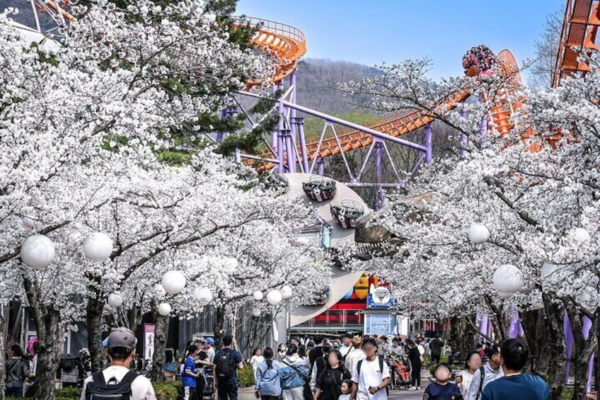 Seoulland Theme Park Tickets - Luna park