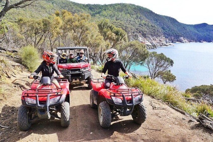 Show item 1 of 7. Quad Bike 2-Hour Adventure: Freycinet National Park
