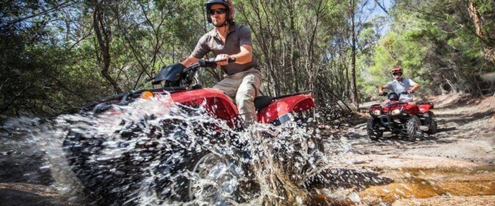 Show item 4 of 7. Quad Bike 2-Hour Adventure: Freycinet National Park