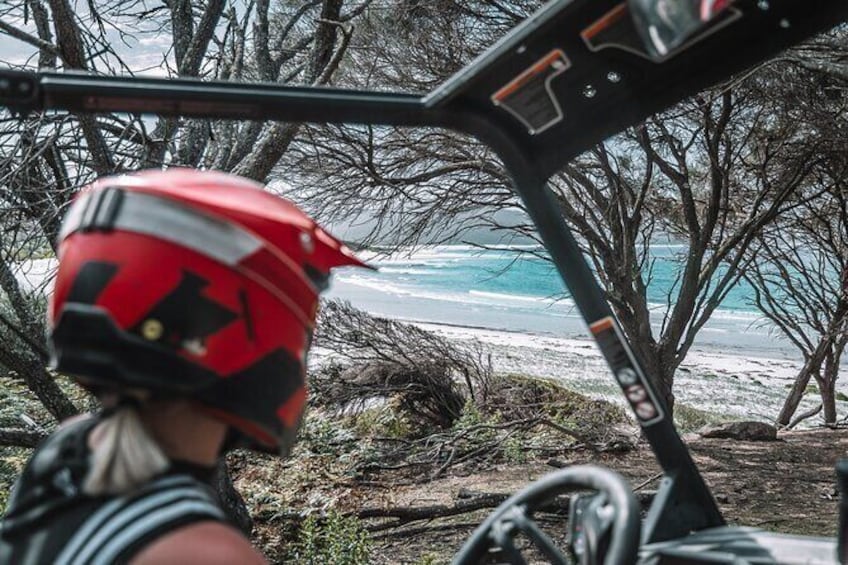 Show item 4 of 11. ATV 2-Hour Adventure: Freycinet National Park