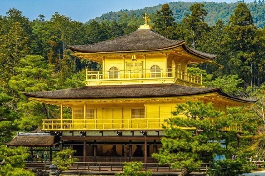 Kyoto Full-Day Private Tour by Public Transportation