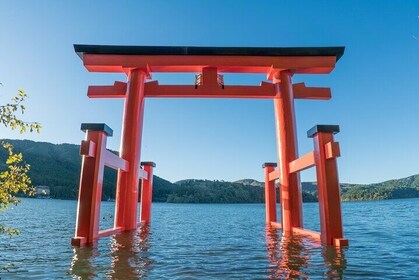 Tokyo: Hakone, Owakudani & Gotemba Premium Outlet 1Day Bus tour