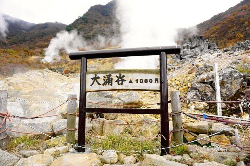 From Tokyo: Hakone and Owakudani and Lake Kawaguchi Day tour