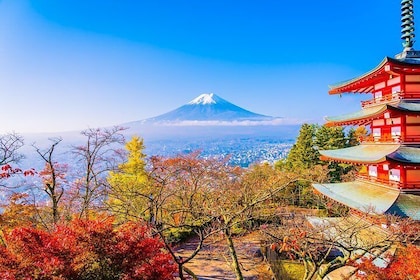 1 Day Private Mt Fuji Sightseeing Tour Car/Van with “English Speaking Drive...
