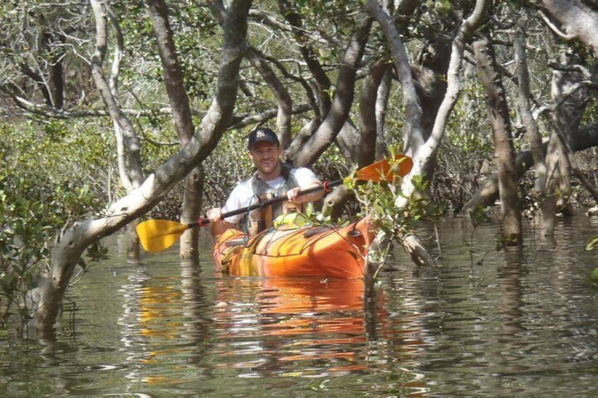 Paddling through the mangroves at Salvation Creek
