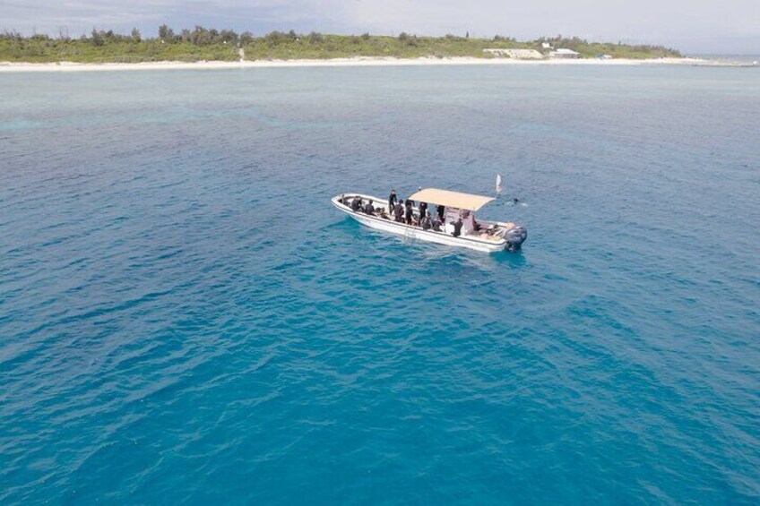 【OKINAWA / Minna Island / Sesoko Island / Manza area】 Boat Fundive (2Dives)