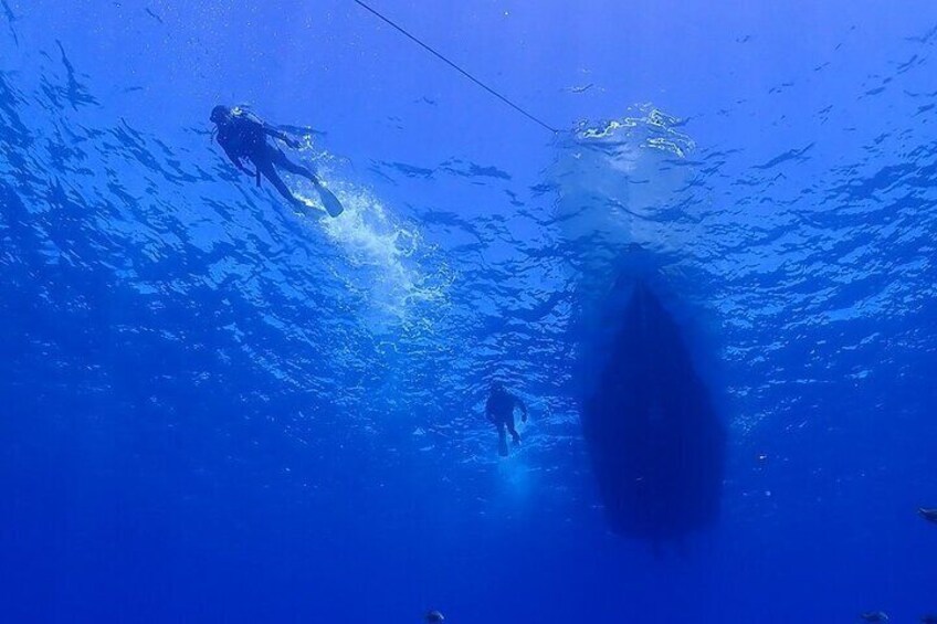 【OKINAWA / Minna Island / Sesoko Island / Manza area】 Boat Fundive (2Dives)