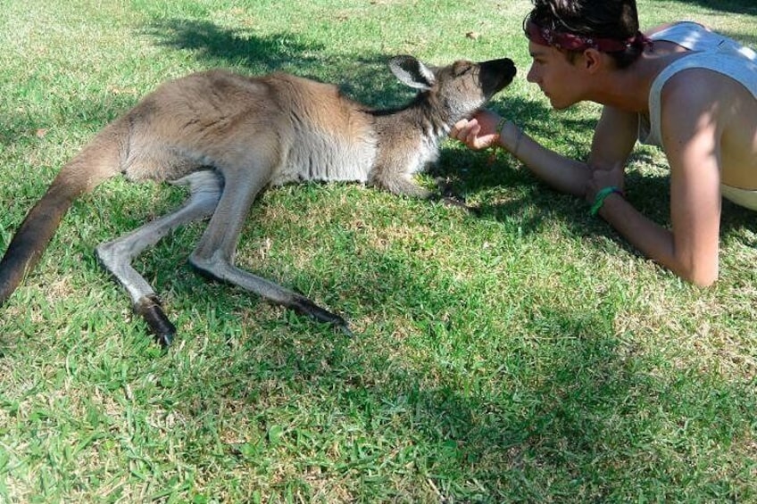 Base camp wildlife