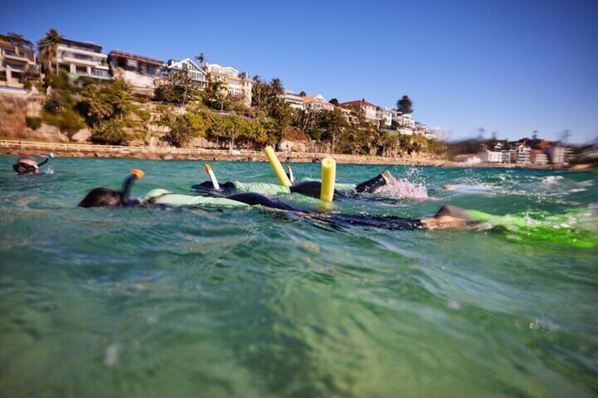 Discover Sydney’s Northern Beaches: A Marine Adventure Day Tour