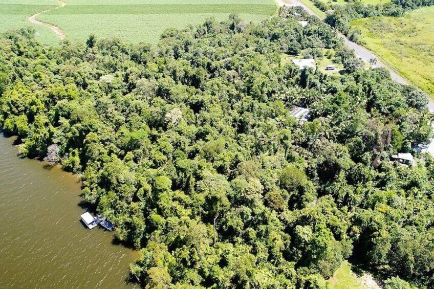 1-Hour Daintree River wildlife cruise