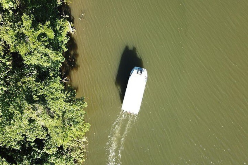 1-Hour Daintree River wildlife cruise