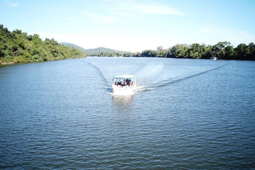 1-Hour Daintree River wildlife cruise