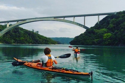 Kayak North Okinawa, customised and private tours
