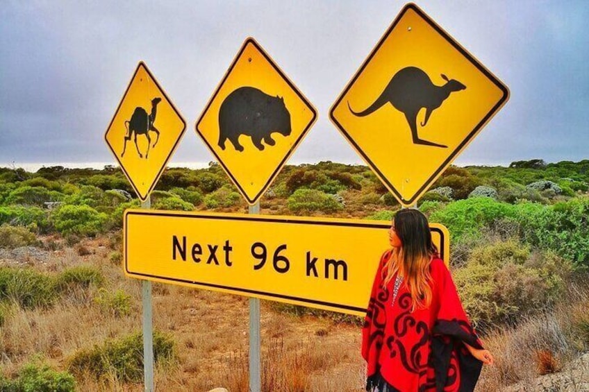 Famous Wildlife Sign on the Nullarbor