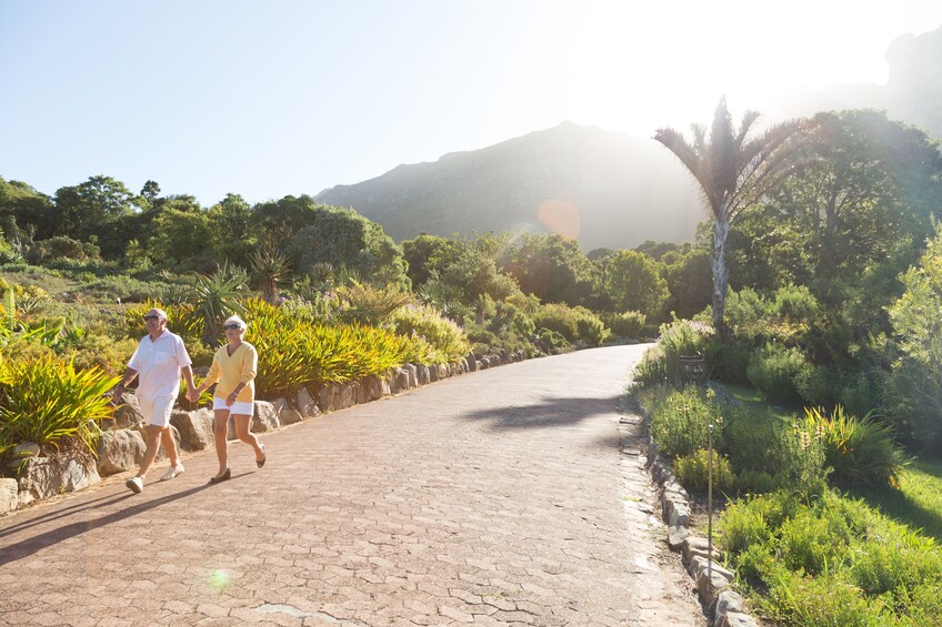 Cape Peninsula Full-Day Tour
