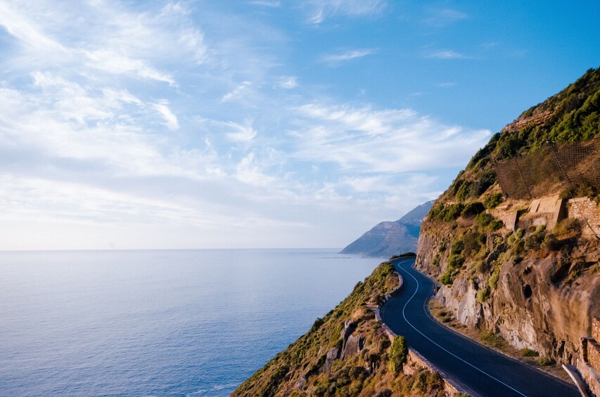 Cape Peninsula Full-Day Tour